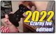 Podsumowanie 2022 | Czarny Ivo edition